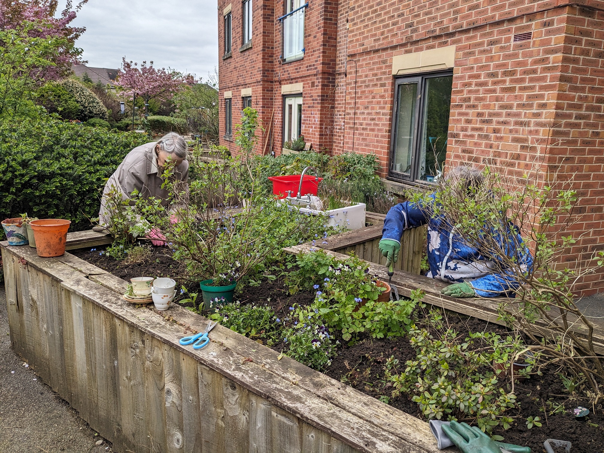 Two people gardening in one of the gardens at our extra-care homes. You can't see their faces behind the shrubs - they're hard at work.